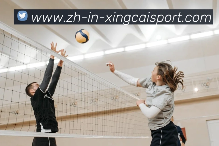 杏彩体育发展历程