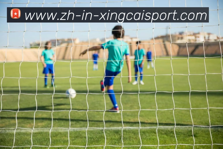 英超球队商业广告收入排行及营销策略研究